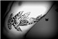 Maori Tubarão Tatuagem