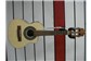 Cavaco Giannini Elétrico Cutway (novo)
