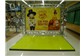 Locação e Montagem de Backdrop para Eventos 