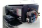 HP com Bulk