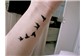Passarinhos Tattoo