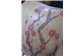 Cerejeira Tattoo