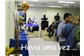 Palestras 