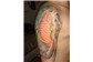 Carpa Tatuagem