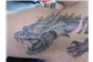Dragão Free Hand 