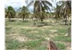 Terreno Praia de Caraúbas