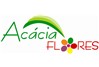 Acácia Flores - Floricultura