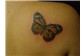 Borboleta Realista Tattoo