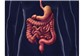 Coloproctologia
