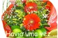 Gerberas