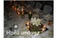 Festa empresas