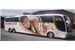Locação de Ônibus