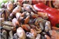 Distribuição de Mariscos